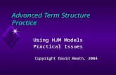 Advanced Term Structure Practice Using HJM Models Practical Issues Copyright David Heath, 2004.