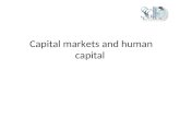 Capital markets and human capital. Agenda Latin America’s attempt to become financially “anglo-saxon” The difference between banks and capital markets.