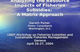Analyzing the Resource Impacts of Fisheries Subsidies: A Matrix Approach Gareth Porter Porter Consultants Washington, D.C. UNEP Workshop on Fisheries Subsidies.