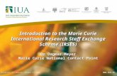 Introduction to the Marie Curie International Research Staff Exchange Scheme (IRSES) Dr Dagmar Meyer Marie Curie National Contact Point University of Limerick,