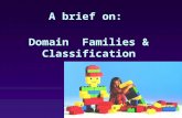 A brief on: Domain Families & Classification. The discovery of domains in protein structures Domains at the sequence level Examples of “Domain Resources”