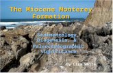 The Miocene Monterey Formation Sedimentology, Diagenesis, & Paleoceanographic Significance By Lisa White.