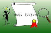 Body Systems Circulatory System Respiratory System Skeletal System Muscular System Nervous System Digestive and Excretory Systems.
