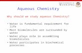 Aqueous Chemistry Why should we study aqueous Chemistry? Water is fundamental requirement for life Most biomolecules are surrounded by water Water plays.