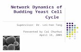 Network Dynamics of Budding Yeast Cell Cycle Supervisor: Dr. Lei-han Tang Presented by Cai Chunhui April 16, 2005.