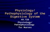 Physiology/Pathophysiology of the Digestive System 49.728 Physiology/Pathophysiology for Nurses.