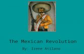 The Mexican Revolution By: Irene Atilano. The Political System Dictator Leader Porfirio Diaz –His federal constitution of 1857 had guarantee of Mexican.