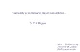 Practicality of membrane protein simulations… Dr Phil Biggin Dept. of Biochemistry University of Oxford phil@biop.ox.ac.uk.