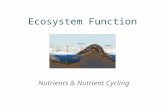 Ecosystem Function Nutrients & Nutrient Cycling. Ecosystem function and nutrients Elements that are required for the growth, maintenance and reproduction.