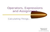 Operators, Expressions and Assignment Calculating Things...