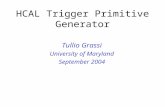 HCAL Trigger Primitive Generator Tullio Grassi University of Maryland September 2004.