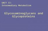 Glycosaminoglycans and Glycoproteins UNIT II: Intermediary Metabolism.