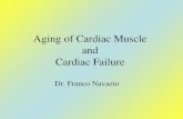 Aging of Cardiac Muscle and Cardiac Failure Dr. Franco Navazio.