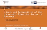 Energy State and Perspectives of the Anaerobic Digestion Sector in Germany  Dipl.-Ing. David Wilken Fachverband Biogas e.V.