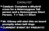 CATALYST Catalyst: Complete a dihybrid cross for a Heterozygous Tall person and a Homozygous Short Person. T = Tall, t = Short Catalyst: Complete a dihybrid.