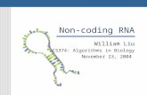 Non-coding RNA William Liu CS374: Algorithms in Biology November 23, 2004.