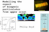 Modelling the export of biogenic particulates from upper ocean Philip Boyd.