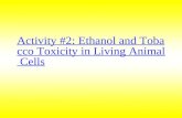 Activity #2: Ethanol and Tobacco Toxicity in Living Animal Cells.