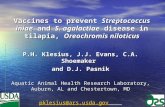 Vaccines to prevent Streptococcus iniae and S. agalactiae disease in tilapia, Oreochromis niloticus P.H. Klesius, J.J. Evans, C.A. Shoemaker and D.J. Pasnik.