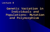 Genetic Variation in Individuals and Populations: Mutation and Polymorphism Lecture 8.