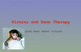 Viruses and Gene Therapy The good news about viruses.