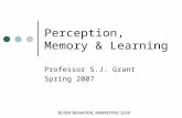 Perception, Memory & Learning Professor S.J. Grant Spring 2007 BUYER BEHAVIOR, MARKETING 3250.