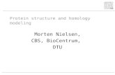 Protein structure and homology modeling Morten Nielsen, CBS, BioCentrum, DTU.
