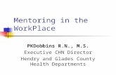 Mentoring in the WorkPlace PKDobbins R.N., M.S. Executive CHN Director Hendry and Glades County Health Departments.