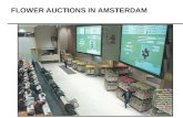 FLOWER AUCTIONS IN AMSTERDAM. Ad Auctions March 16, 2007.