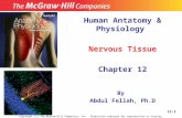 Human Antatomy & Physiology Nervous Tissue Chapter 12 By Abdul Fellah, Ph.D Copyright (c) The McGraw-Hill Companies, Inc. Permission required for reproduction.