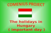 The holidays in Hungary ( important day ). 1 January New Year’s Day.