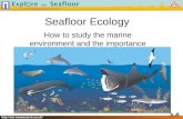 Seafloor Ecology How to study the marine environment and the importance of habitats and food webs.