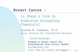 Jump to first page Breast Cancer – Is there a link to Endocrine Disrupting Chemicals? Suzanne M. Snedeker, Ph.D. Assoc. Director for Translational Research.