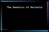 6/15/2015 The Genetics of Bacteria. 6/15/2015 The Genetics of Bacteria The major component of the bacterial genome is one double-stranded, circular DNA.