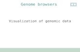Visualization of genomic data Genome browsers. How many have used a genome browser ? UCSC browser ? Ensembl browser ? Others ? survey.