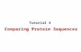 Comparing Protein Sequences Tutorial 4. Comparing Protein Sequences Substitution Matrices –PAM - Point Accepted Mutations –BLOSUM - Blocks Substitution.