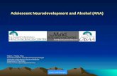 NIAAA July 20, 2010 Adolescent Neurodevelopment and Alcohol (ANA) Robert J. Thoma, Ph.D. Associate Professor and Clinical Neuropsychologist University.