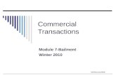 ©MNoonan2009 Commercial Transactions Module 7-Bailment Winter 2010.