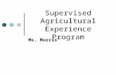 Supervised Agricultural Experience Program Ms. Morris.