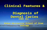 Clinical Features & Diagnosis of Dental Caries CHEN Zhi Wuhan University School of Stomatology.