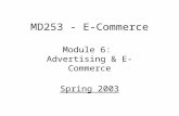 MD253 - E-Commerce Module 6: Advertising & E-Commerce Spring 2003.