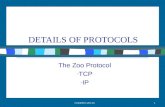 Norly@ftsm.ukm.my 1 DETAILS OF PROTOCOLS The Zoo Protocol - TCP - IP.