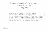 Gross Cerebral Anatomy Flash Cards Psy202 Each pair of pages in the following constitute a front/back page pair for creating flash cards. Print the “slides”