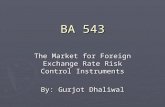 BA 543 The Market for Foreign Exchange Rate Risk Control Instruments By: Gurjot Dhaliwal.