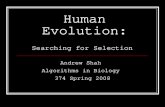 Human Evolution: Searching for Selection Andrew Shah Algorithms in Biology 374 Spring 2008.