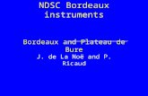 NDSC Bordeaux instruments Bordeaux and Plateau de Bure J. de La Noë and P. Ricaud.