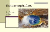 Extremophiles Life on edge Life at High Temperatures, Thomas M. Brock.
