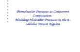 Biomolecular Processes as Concurrent Computation: Modeling Molecular Processes in the  -calculus Process Algebra.
