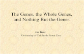 The Genes, the Whole Genes, and Nothing But the Genes Jim Kent University of California Santa Cruz.