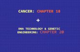CANCER: CANCER: CHAPTER 18 DNA TECHNOLOGY & GENETIC ENGINEERING: DNA TECHNOLOGY & GENETIC ENGINEERING: CHAPTER 20 +
